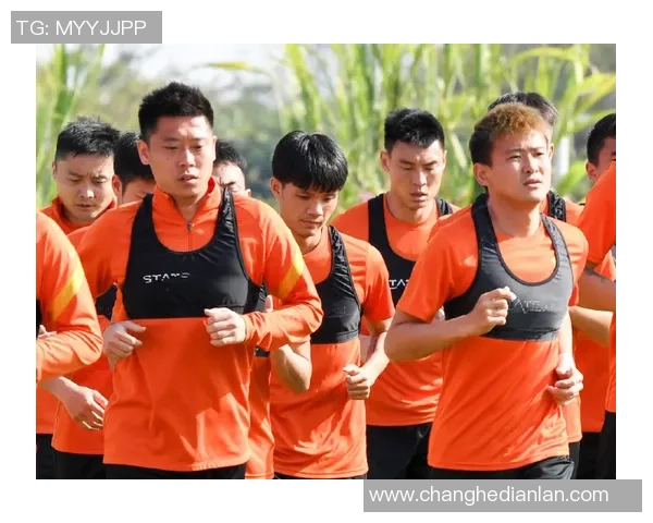 武汉网球队战术创新引领网球新潮流助力球队排名跃升至新高