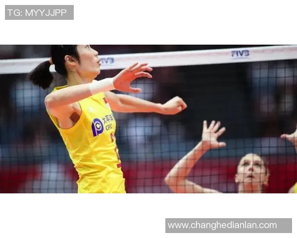 对话周娜：回顾辉煌排球生涯与未来发展展望